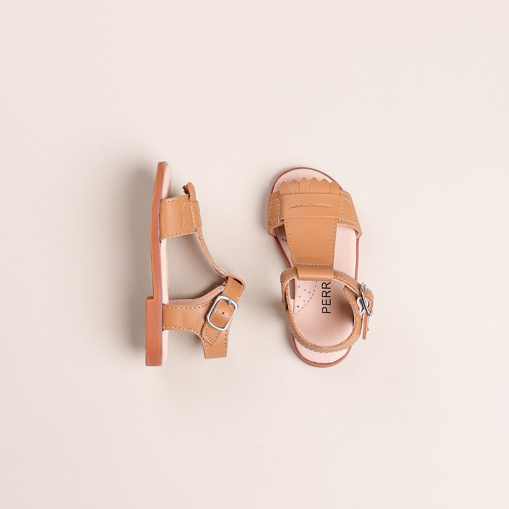 color_Camel