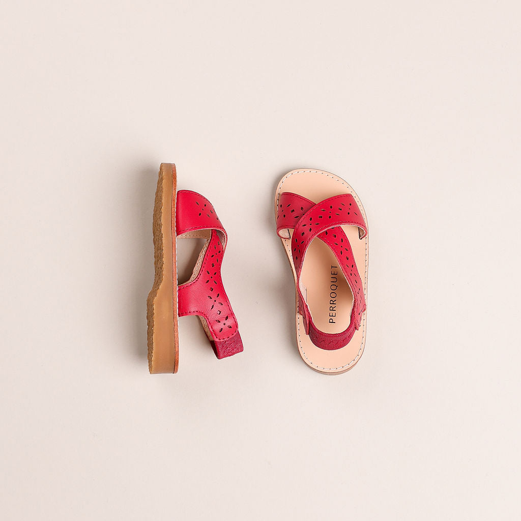 #color_Red